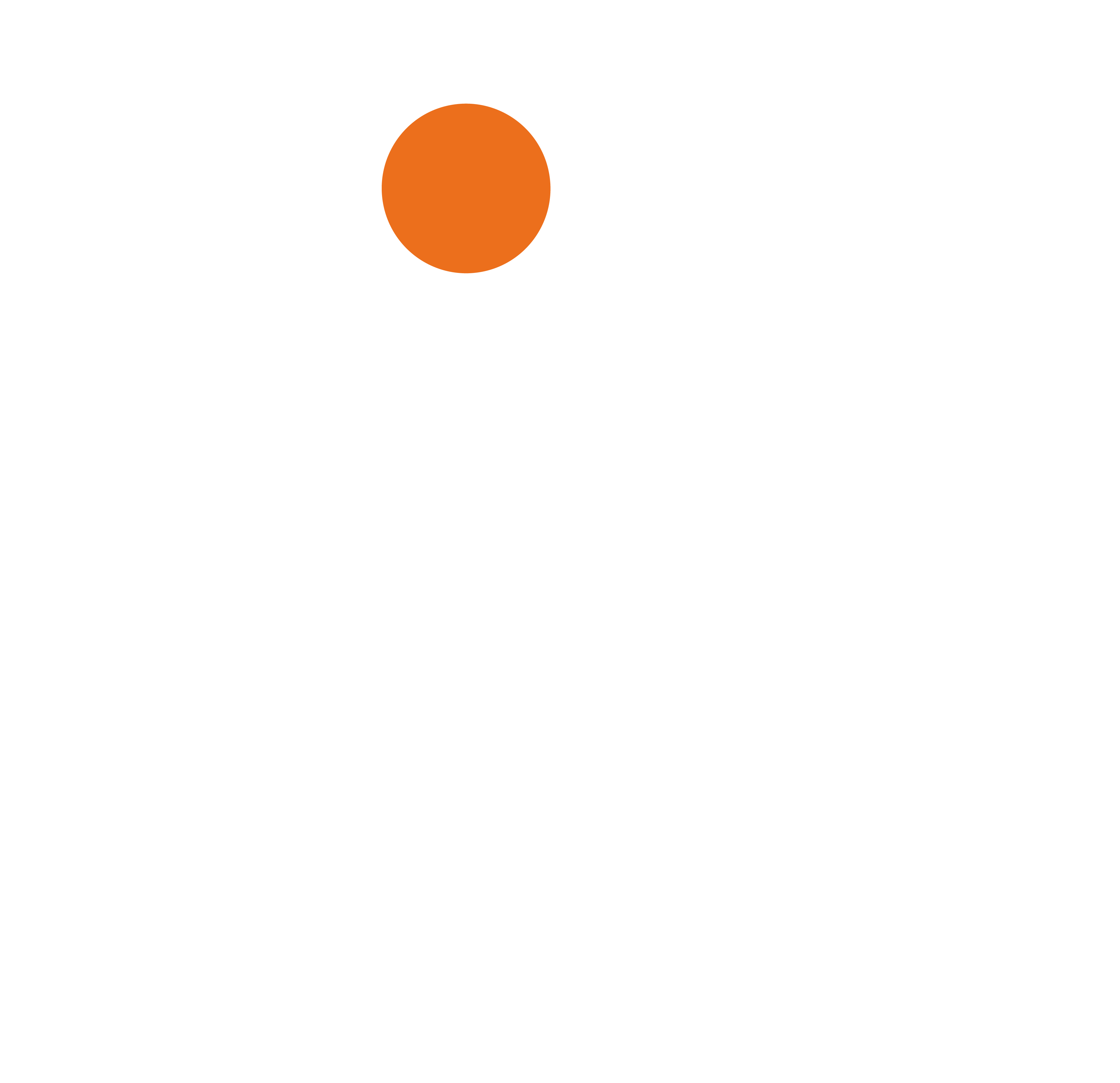 Brandsriser Solution