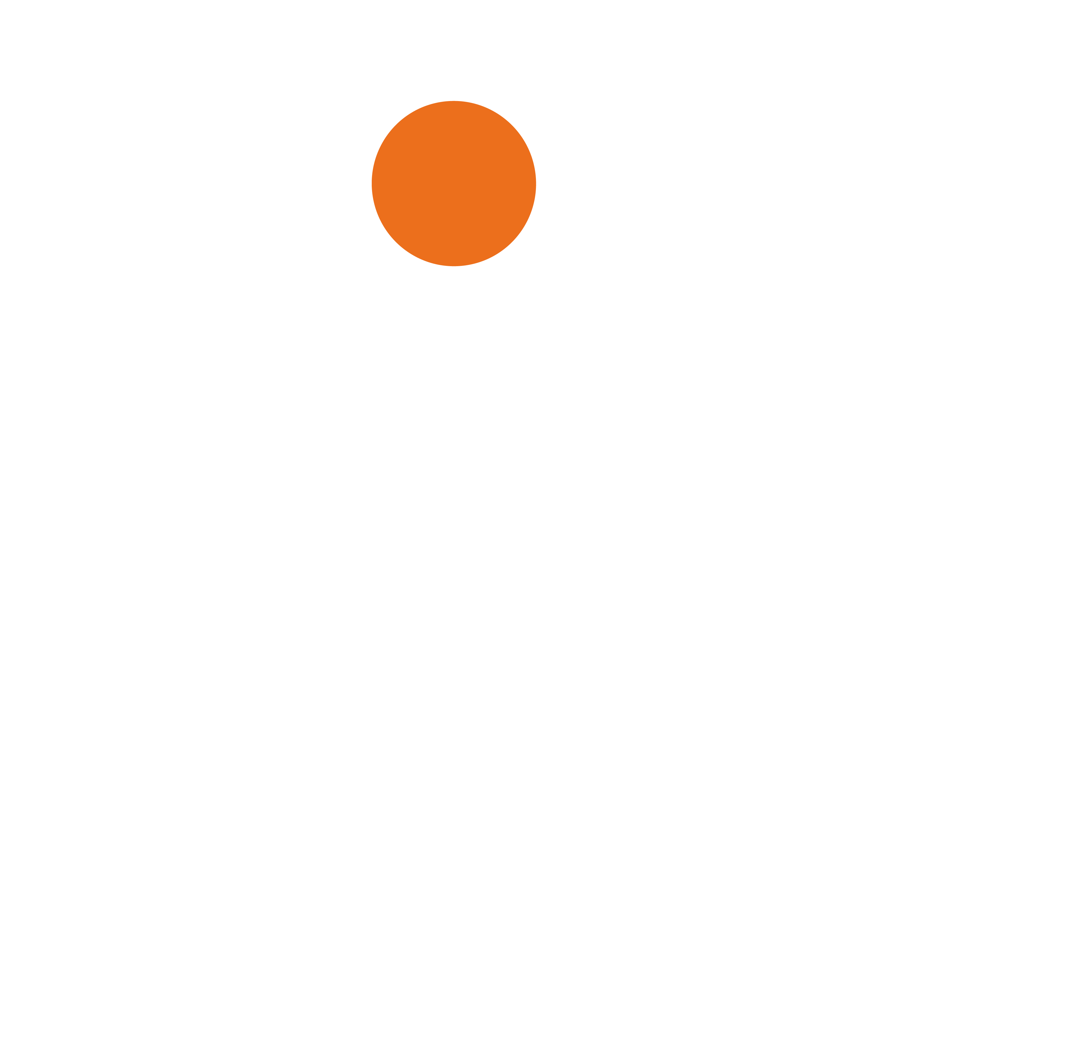 Brandsriser Solution